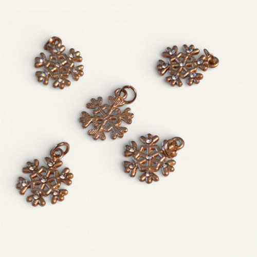 IMG_20260207_015144 (1) (2).jpg